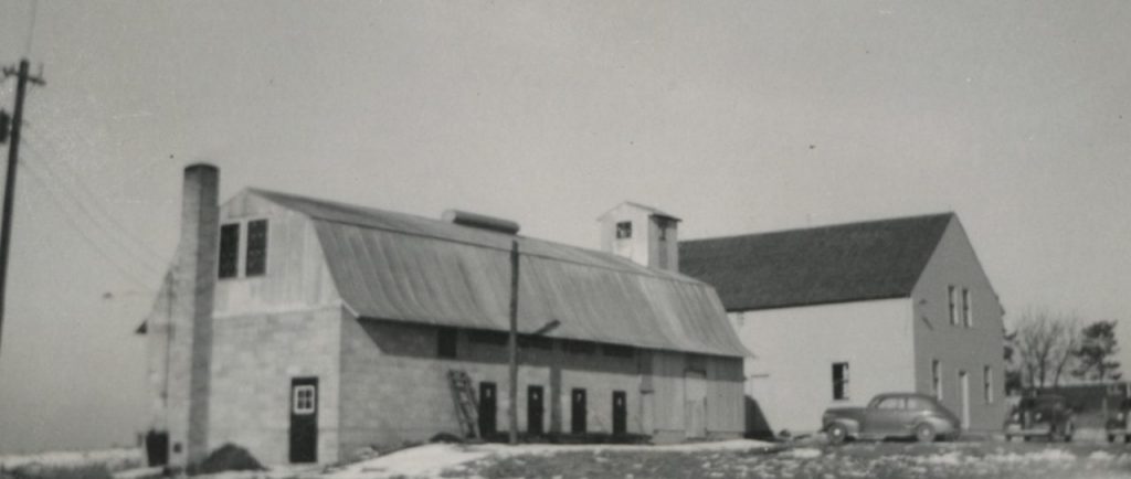 1946