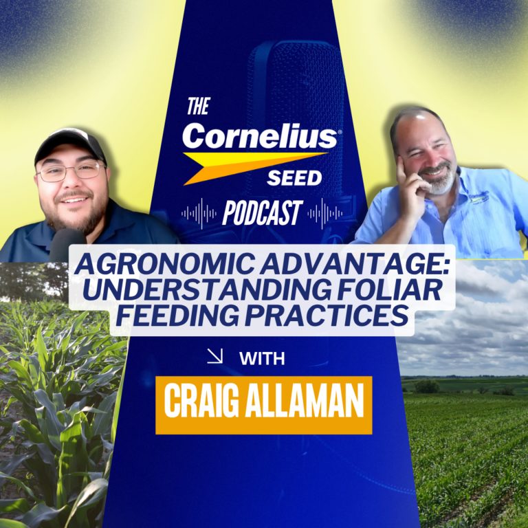 Agronomic Advantage: Understanding Foliar Feeding Practices